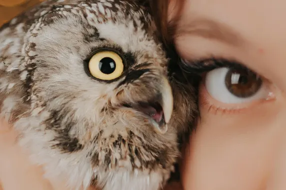 Kaszinó AllStar Slots Támogatás